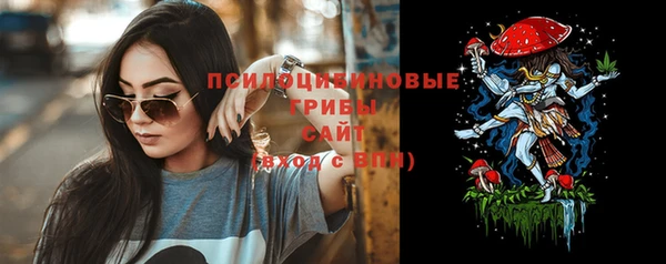 2c-b Ельня