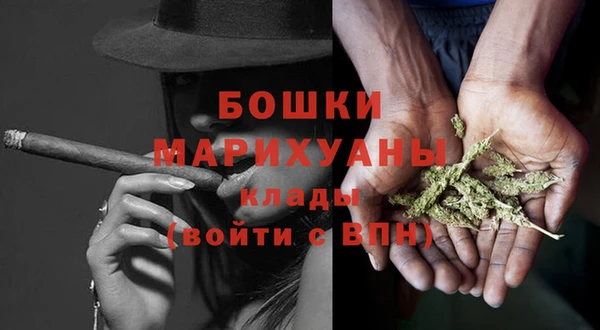 2c-b Ельня