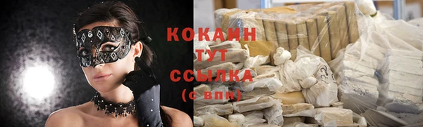 2c-b Ельня