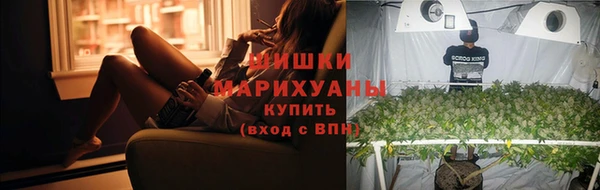 2c-b Ельня