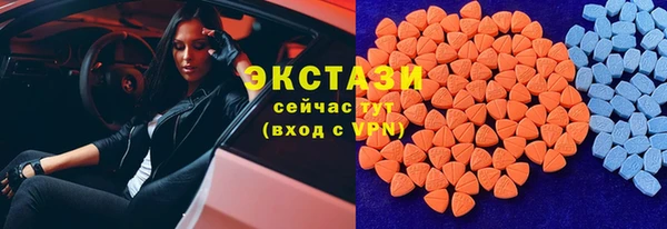2c-b Ельня