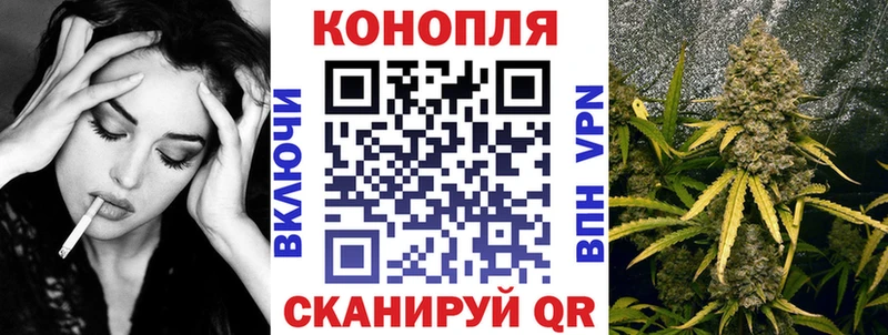 Каннабис гибрид Купить закладки Суровикино